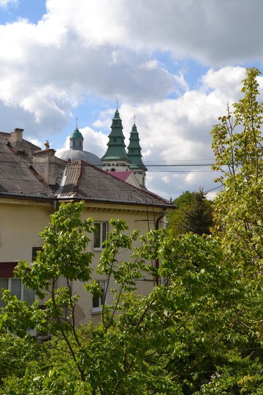 Catedra View Apartment Ternopil Bagian luar foto