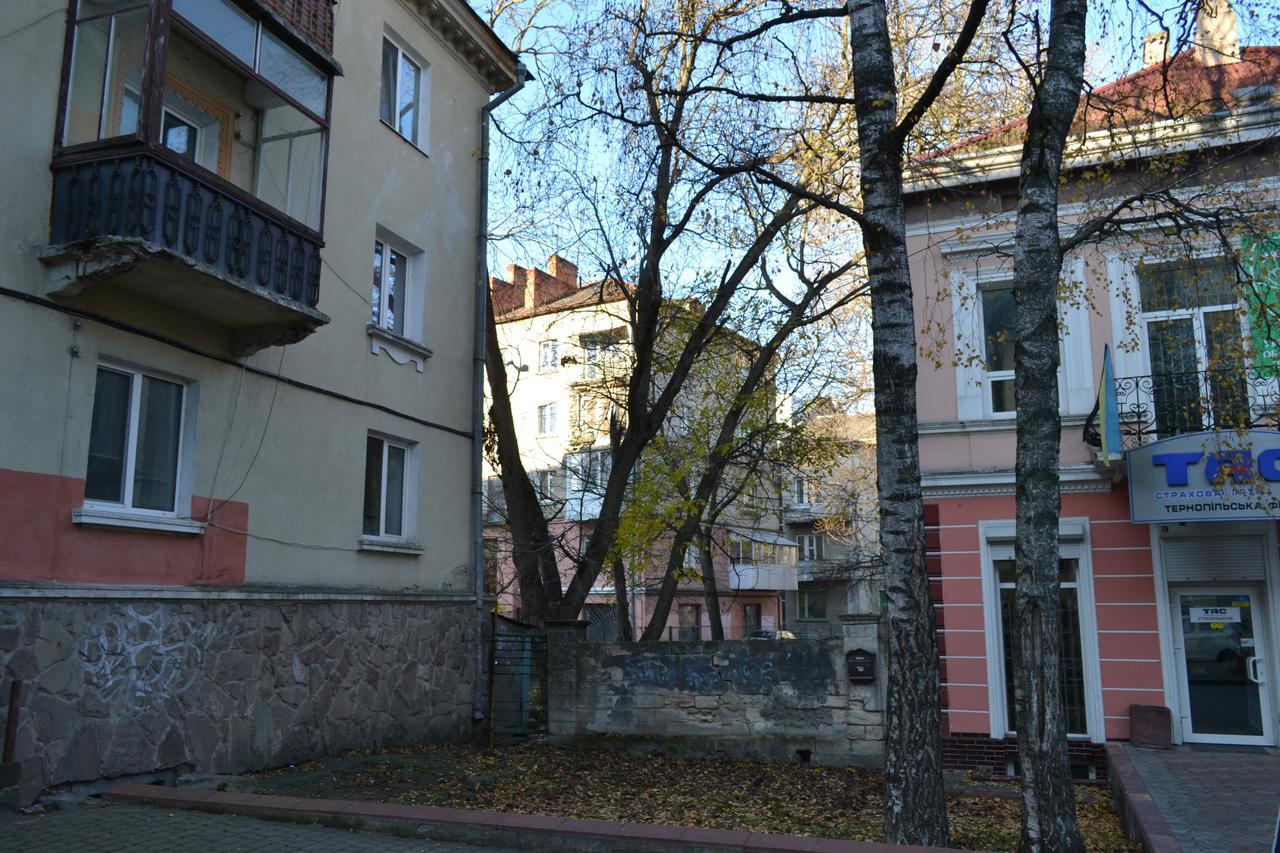 Catedra View Apartment Ternopil Bagian luar foto